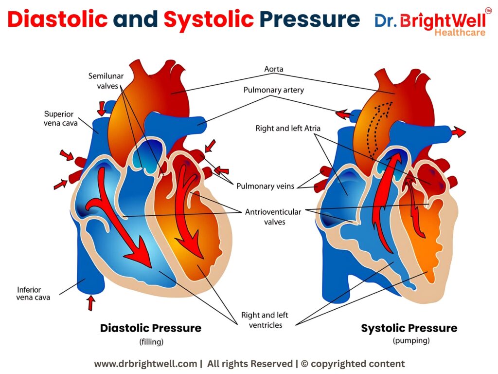 Diagram showing systolic and diastolic pressure with heart illustration